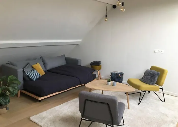 Studio2 Ename, Dakappartement In Vlaamse Ardennen